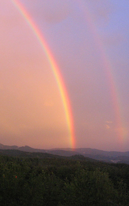 Regenbogen über Freiamt