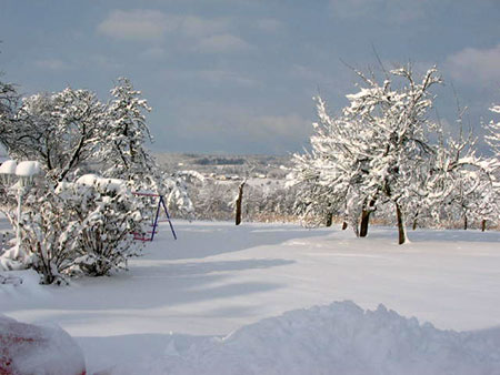 Winter im Garten